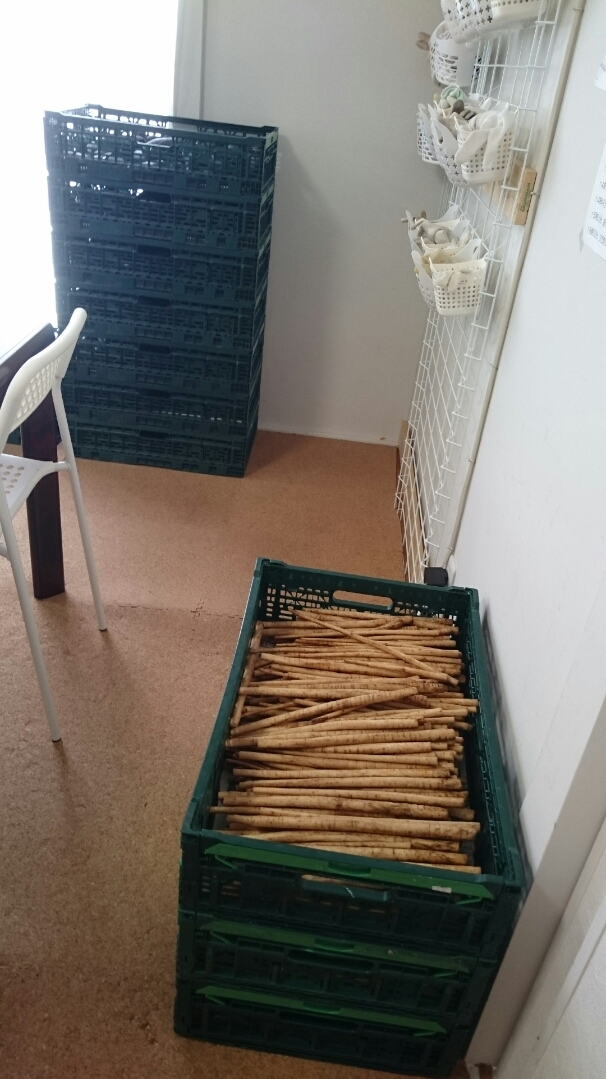 野菜の袋詰め作業