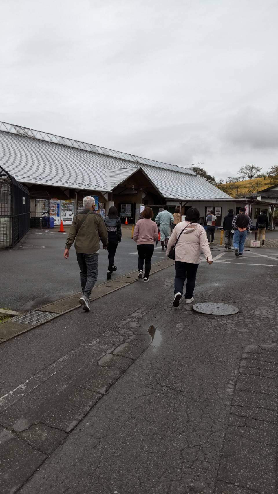 花いっぱい！
