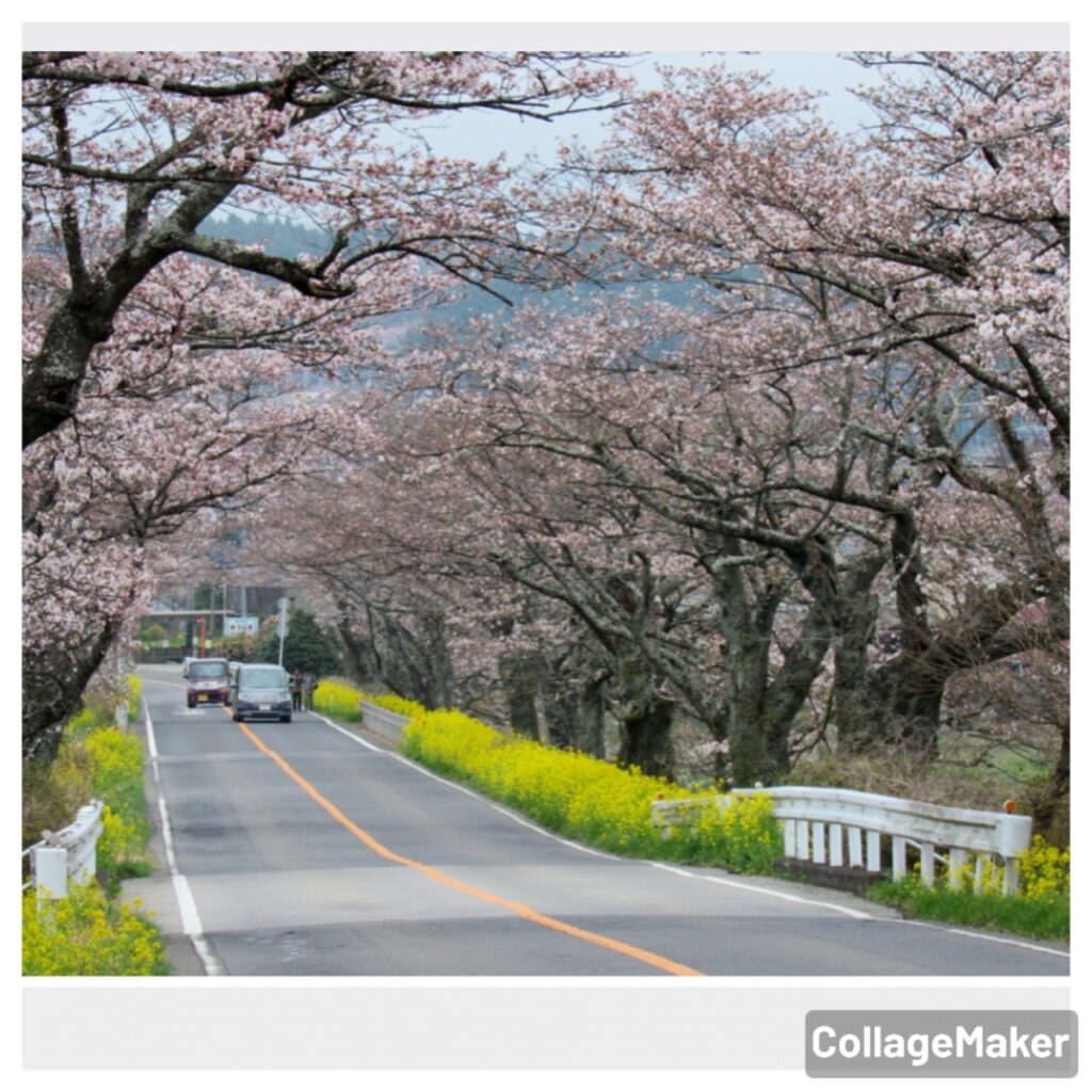 喜連川へドライブ！