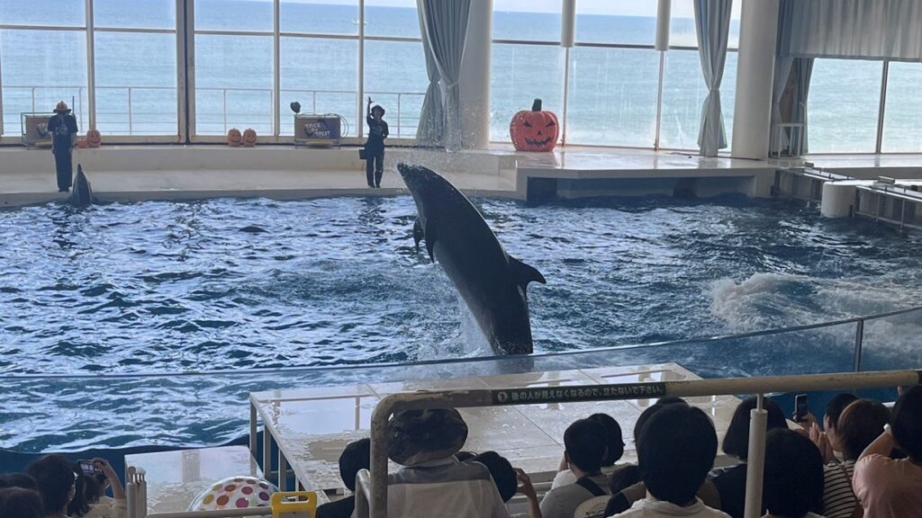 アクアワールド大洗水族館へ！