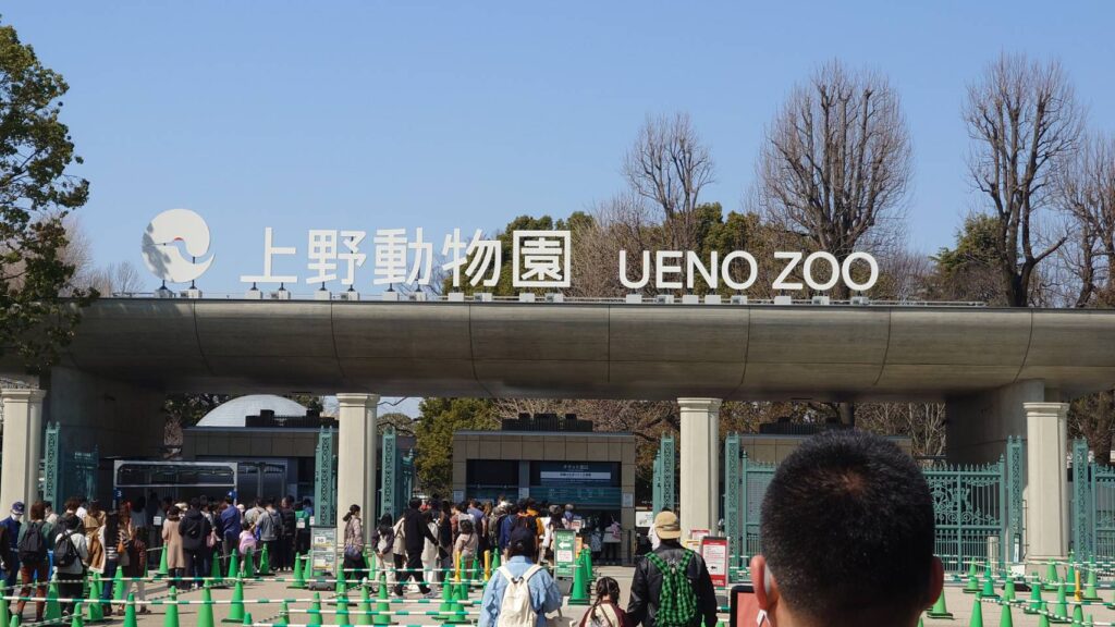 上野動物園と東京都立美術館散策