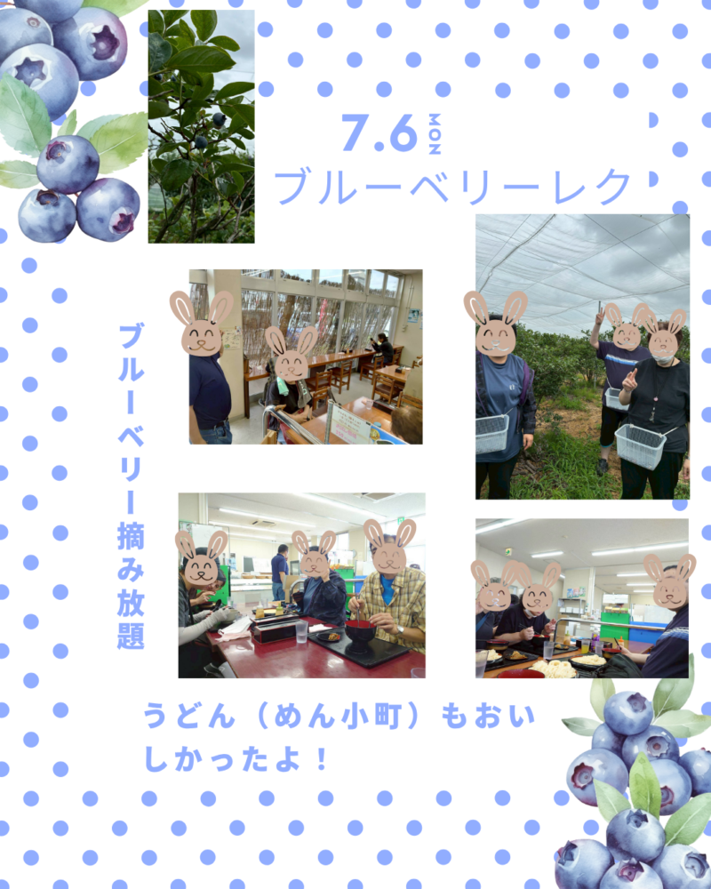 ブルーベリー狩り